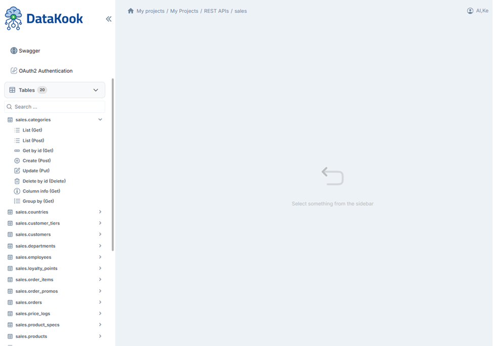 API Documentation and Testing Interface